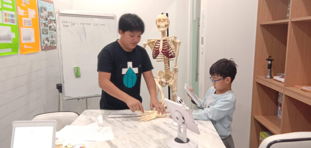 Science, technology, engineering, and mathematics (STEM) at Noble Academy