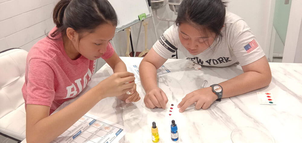 Science, technology, engineering, and mathematics (STEM) at Noble Academy