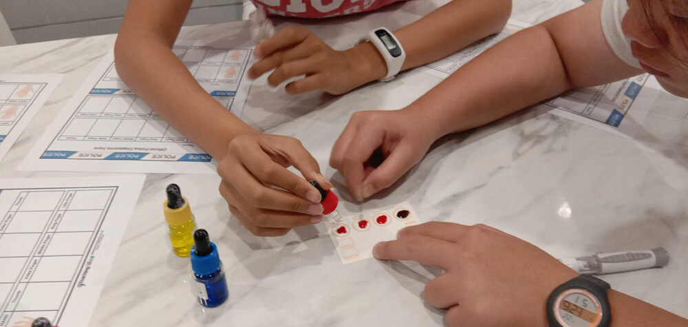 Science, technology, engineering, and mathematics (STEM) at Noble Academy