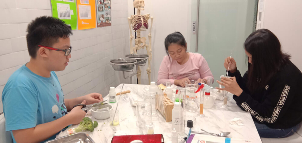 Science, technology, engineering, and mathematics (STEM) at Noble Academy