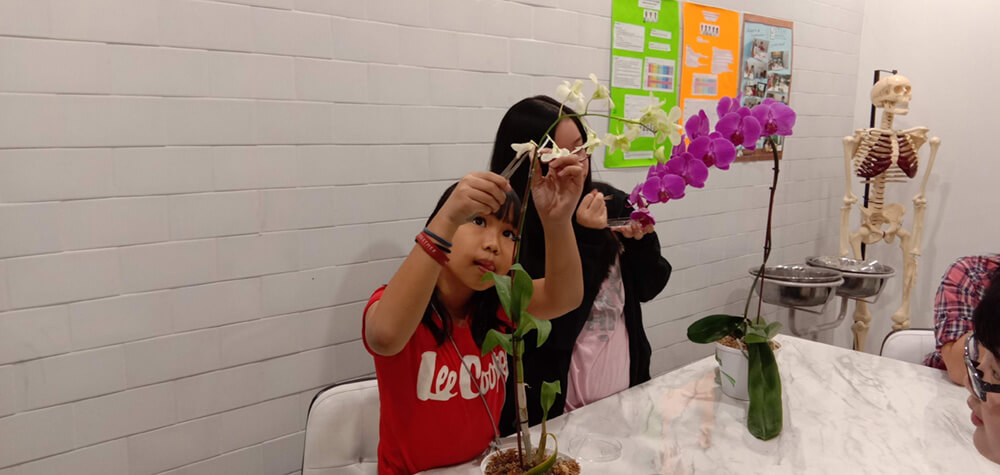 Science, technology, engineering, and mathematics (STEM) at Noble Academy