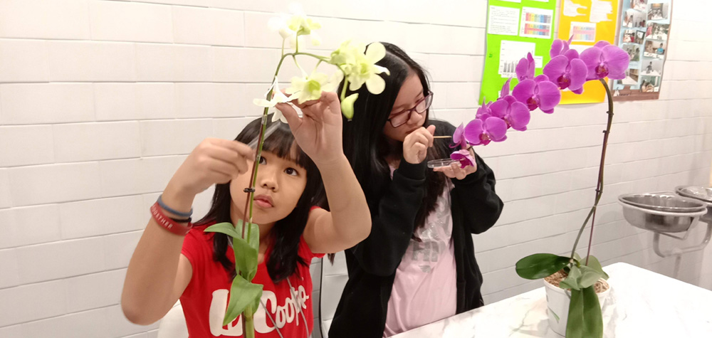 Science, technology, engineering, and mathematics (STEM) at Noble Academy