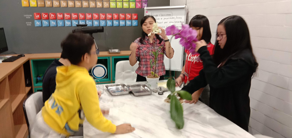 Science, technology, engineering, and mathematics (STEM) at Noble Academy