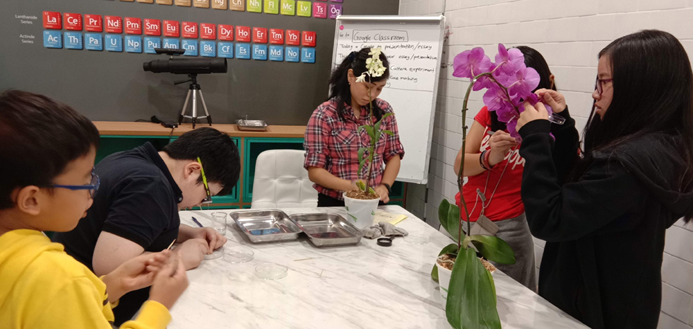 Science, technology, engineering, and mathematics (STEM) at Noble Academy