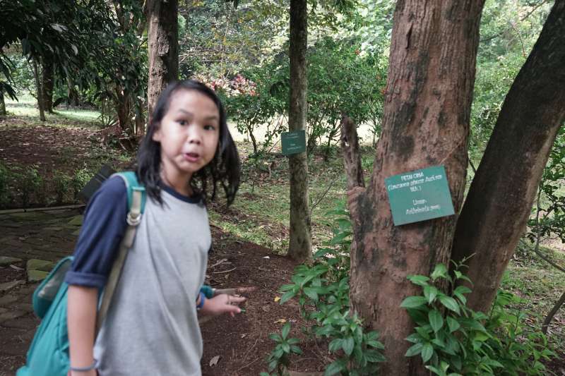  Noble Academy field trip to Kampoeng Djamoe