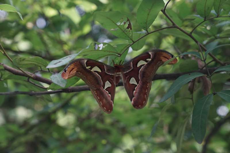  fieldtrip to kampong djamoe